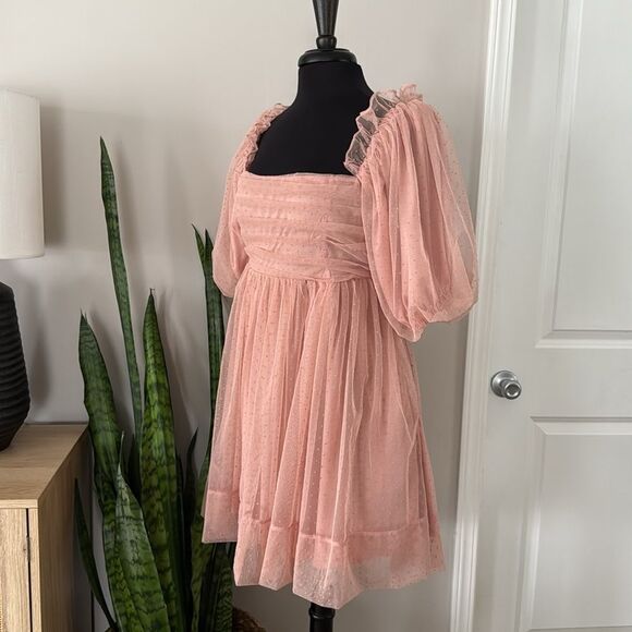 Mable Whimsical Blush Organza Babydoll Muse Chiffon Tulle Swiss Dot Skater Dress - Picture 8 of 13